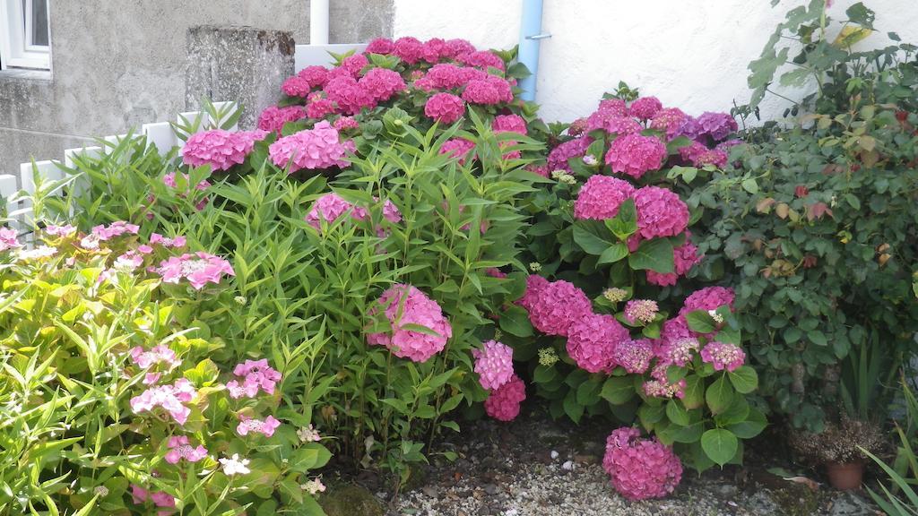 La Musardise Bed & Breakfast Guérande Eksteriør bilde