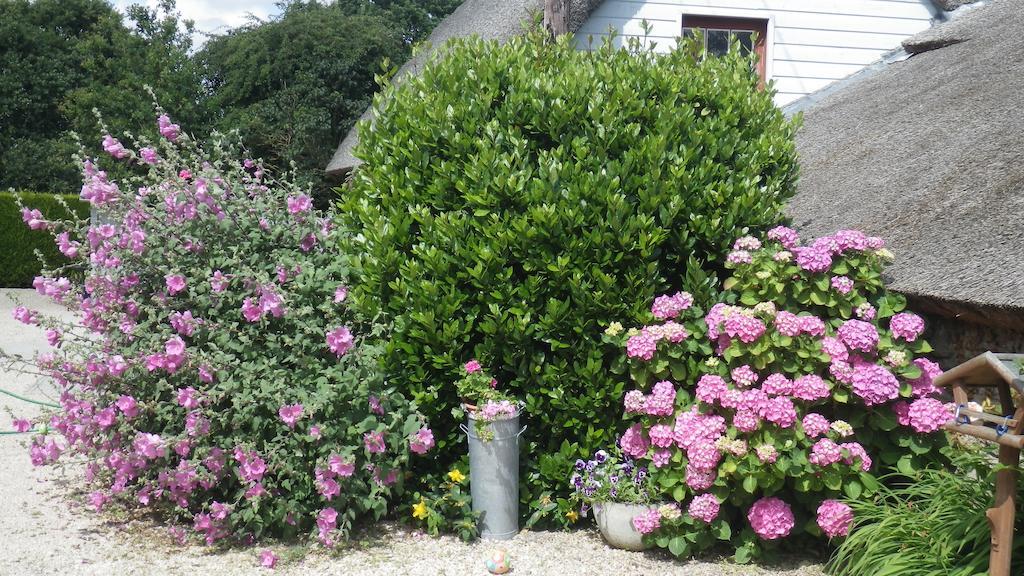 La Musardise Bed & Breakfast Guérande Eksteriør bilde